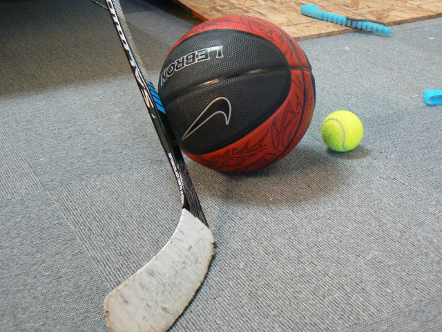 Xcellence Hockeycenter foto: All Sport & Idrott